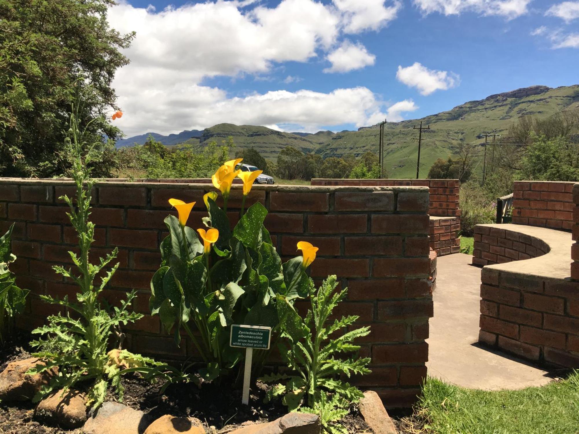 Sani Lodge & Cottages Sani Pass Bagian luar foto